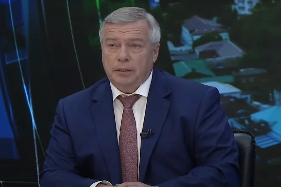 В Ростовской области зарегистрированы 47 тысяч многодетных семей. Фото: скриншот эфира телепрограммы.
