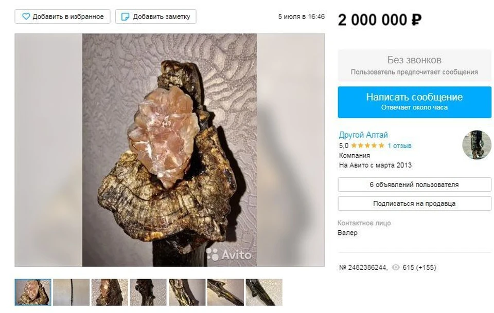 Изголовье посоха украшено камнем. Фото: скриншот с сайта "Авито"