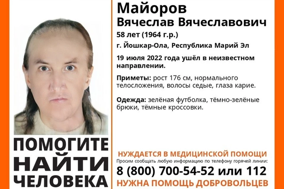 Фото: ПСО «Лиза Алерт»