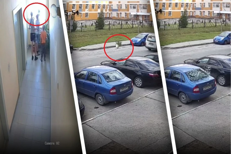 Дарья швыдкой биография личная жизнь