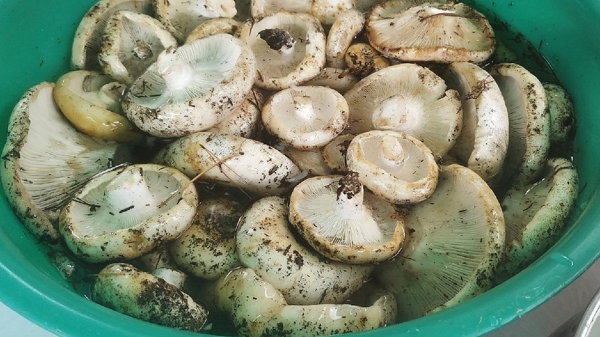 Жаттығудағы орыс секс Виктория Клинкова порно