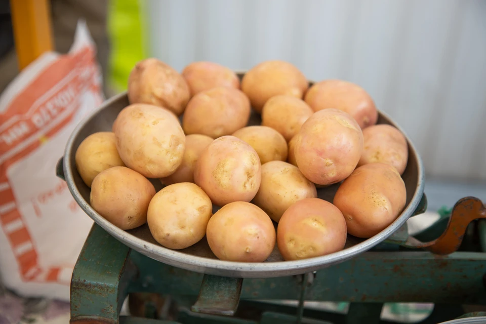 Ярмарки выходного дня – отличный способ купить свежие продукты по доступным ценам.