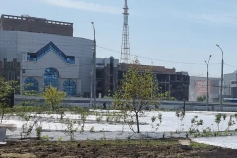В Новосибирске продолжают разбирать ДК "Сибсельмаш". Фото: Анна Терешкова.
