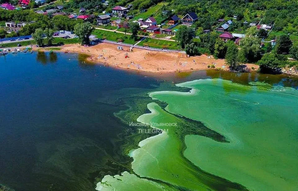 ФОТО: телеграм-канал Инсайд Ульяновск