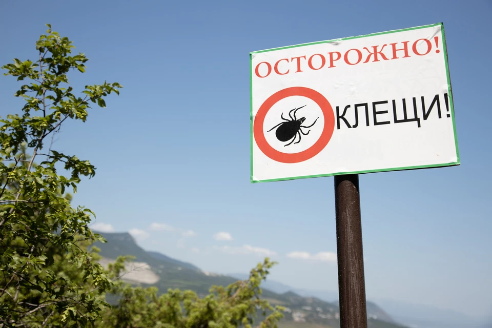 Роспотребнадзор обновил статистику по клещам