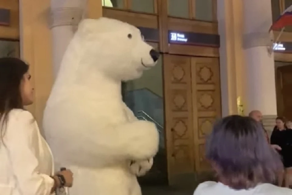 В центре Петербурга танцевал белый медведь. Фото: vk.com/spb_today_unreleased