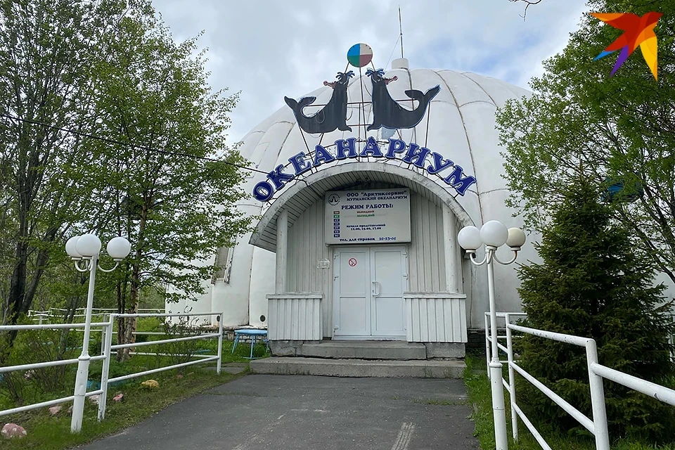 Прокуратура Мурманской области подала иск в суд на Мурманский океанариум.