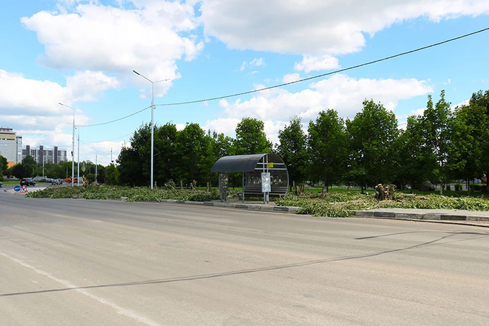 Фото: пресс-служба Брянской городской администрации.