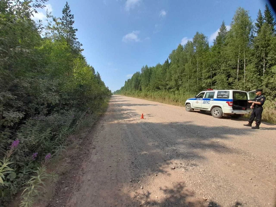 Фото: ГИБДД по Коми