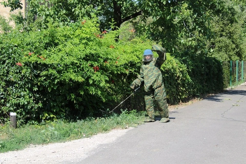 Пиротехники МЧС ДНР продолжают работы по обезвреживанию мин «Лепесток». Фото: МЧС ДНР