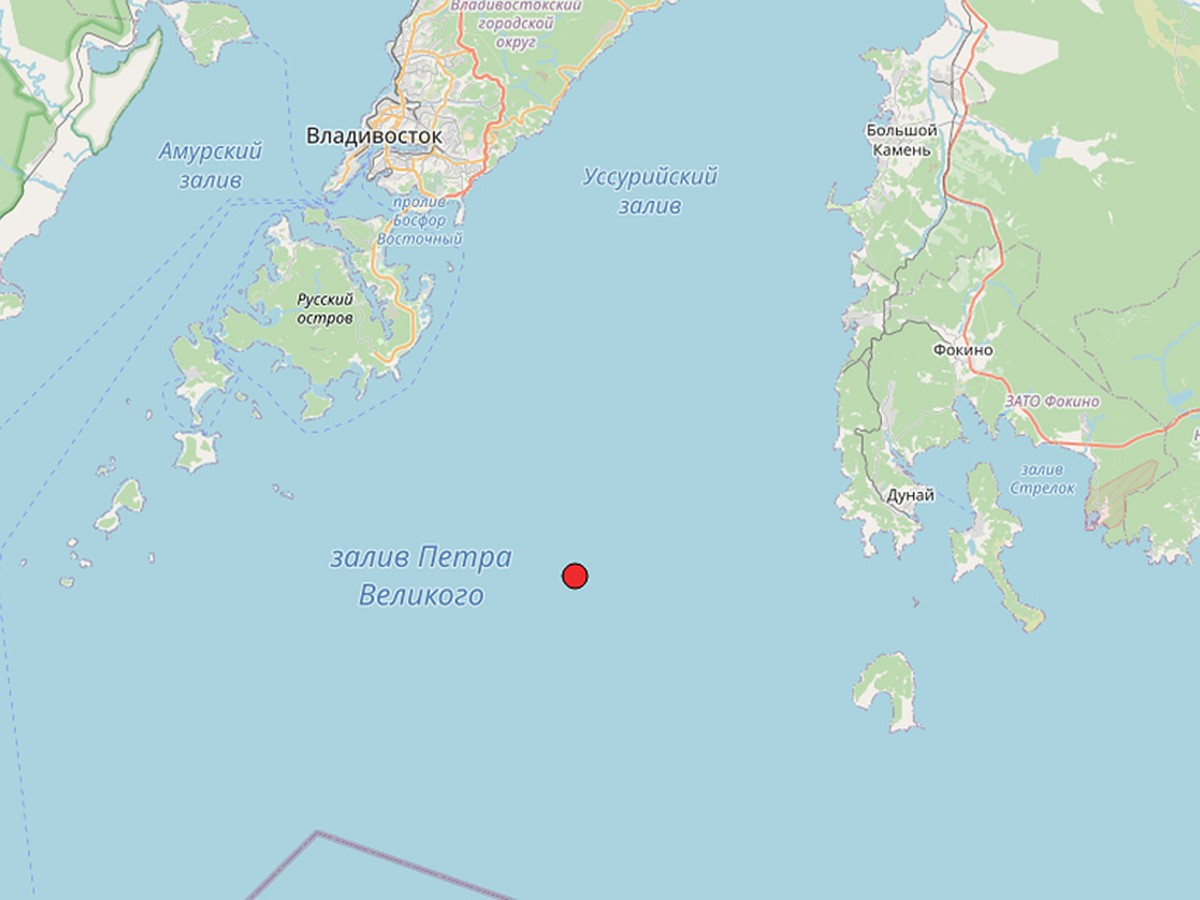 Землетрясение магнитудой 4,3 произошло недалеко от Владивостока - KP.RU