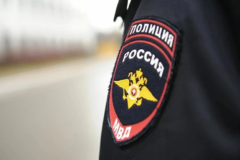 В Москве правоохранители задержали безбилетника, который ударил пассажирку на станции метро «Бауманская», возбуждено уголовное дело