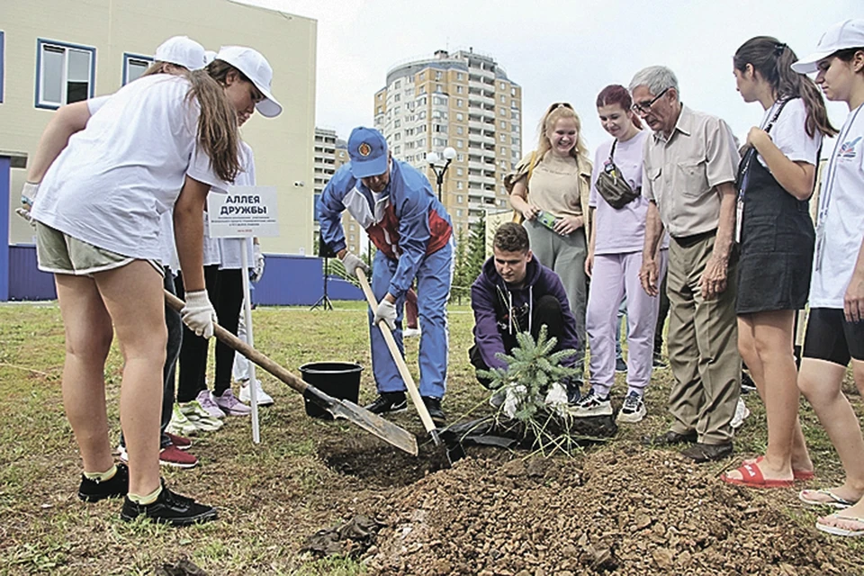 Посадка деревьев сплотила ребят из ДНР и ЛНР с местными студентами-экологами. Фото: Минприроды Чувашии