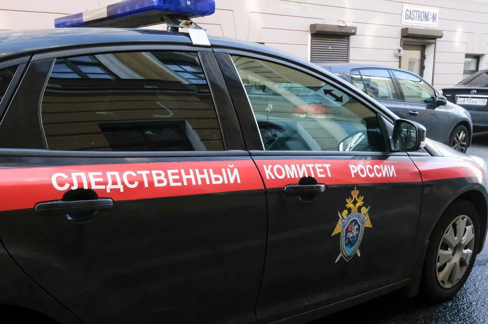 Александр Бастрыкин поручил петербургским следователям разобраться в квартирном вопросе между чиновницей и сиротой.