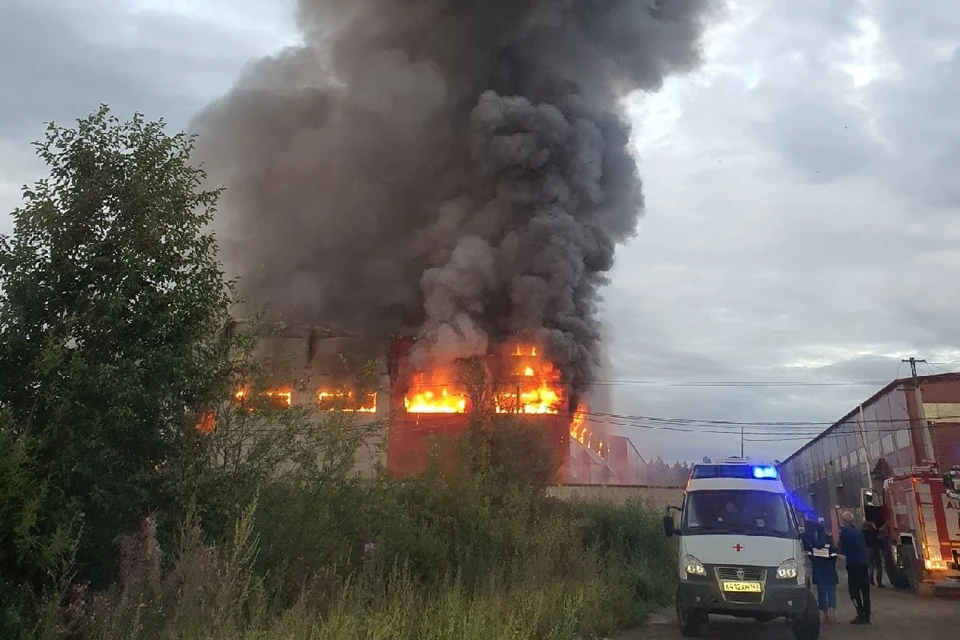 У горящего ангара частично рухнула кровля. Фото: vk.com/spb_today / Владислав Абрамов