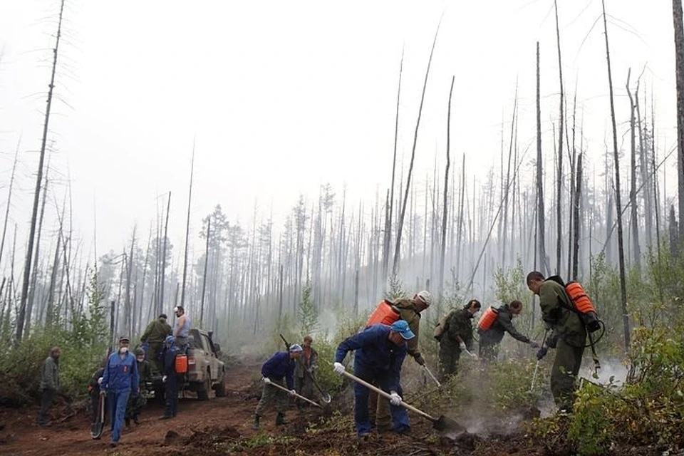 На утро 9 августа действующих пожаров в лесах Иркутской области не зарегистрировано.