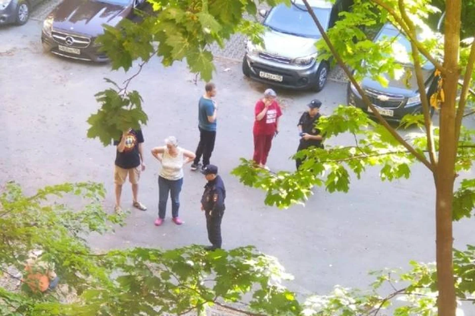 Пьяный мужчина выкинул собаку с высоты пятого этажа в центре Петербурга