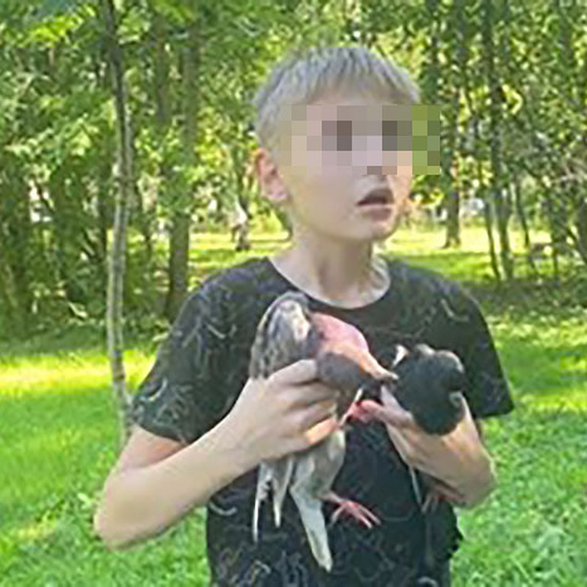 12-летний живодер сломал лапы и убил десятки голубей в Петербурге - KP.RU