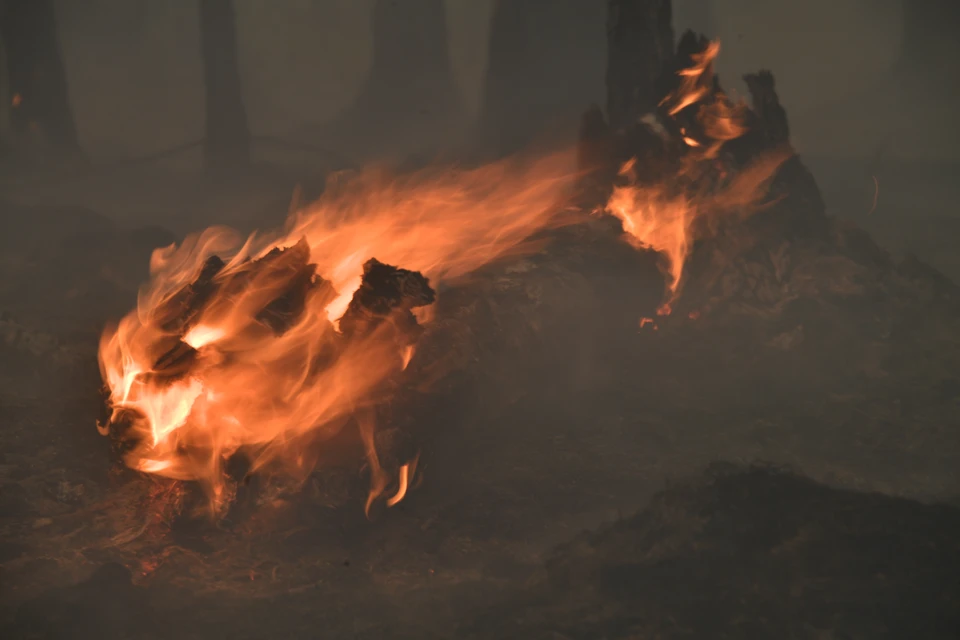 В лесах регионах сохраняется высокая пожароопасность.