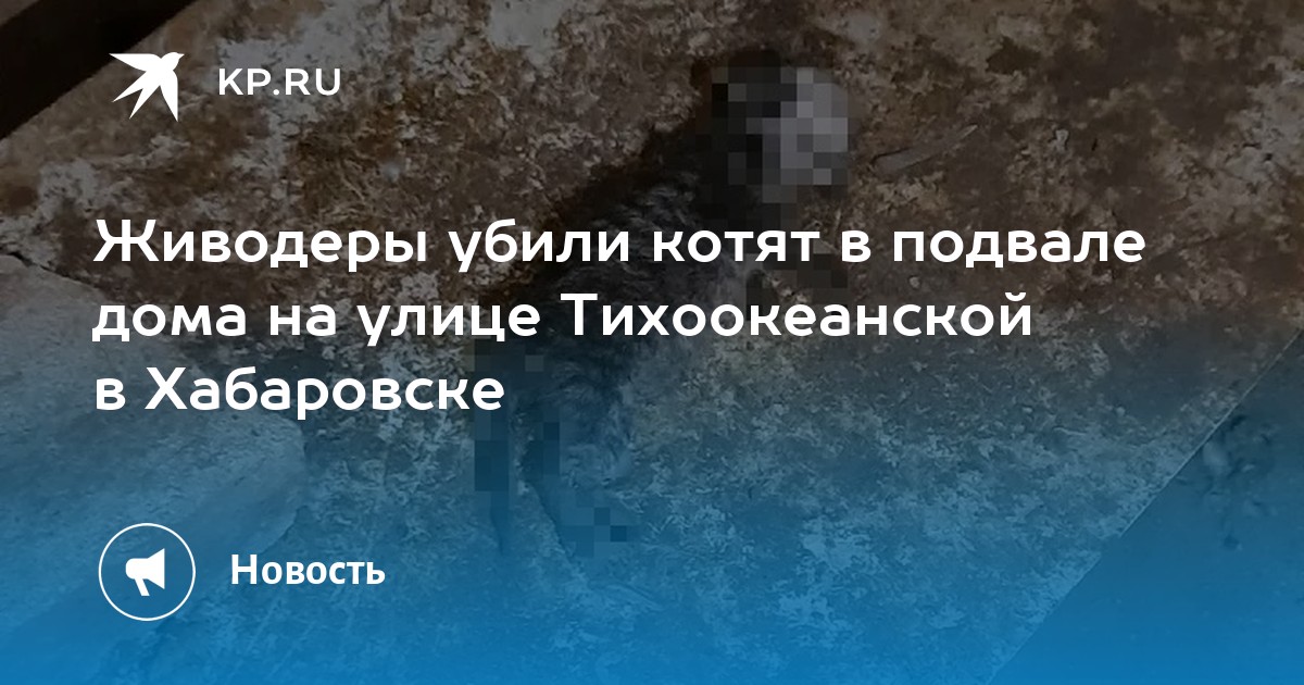 Omega 3 Solgar ������ ���������: ����.