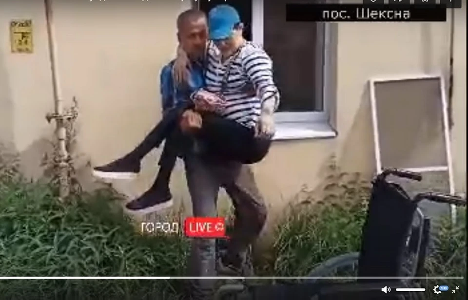Нападение на улице. Девушка в инвалидной коляске. Чеченские девушки гуляют. Кот инвалид.