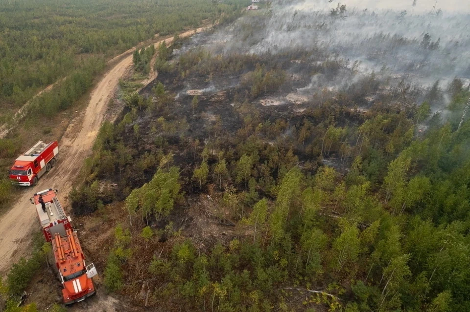 Лесные пожары на территории Рязанской области полностью локализовали