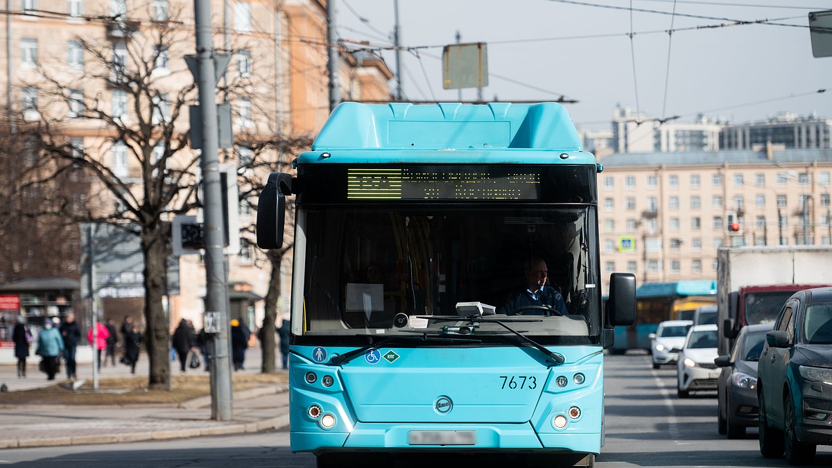 Два новых маршрута автобуса начнут работать в Петербурге с 1 сентября -  KP.RU