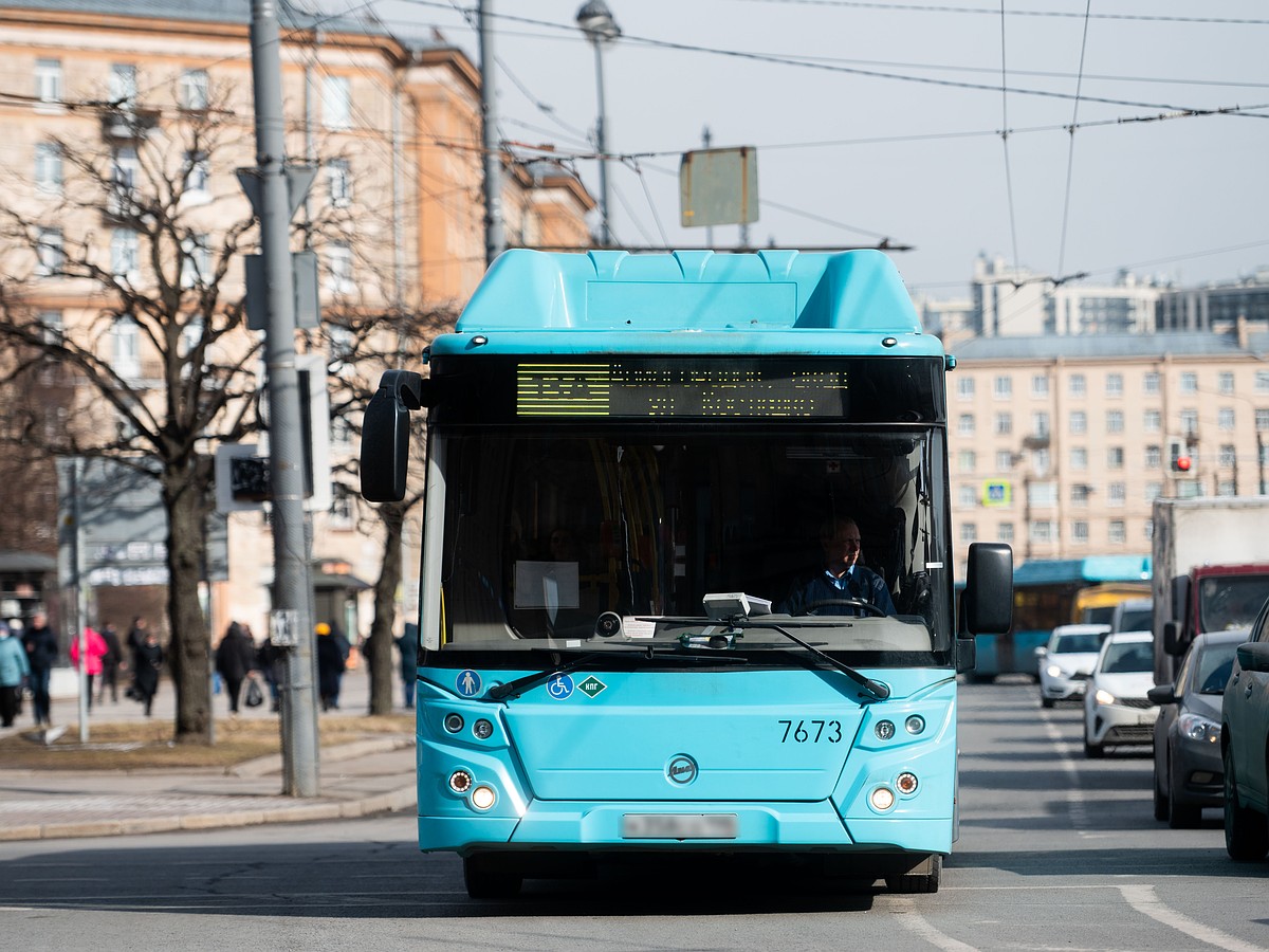 Два новых маршрута автобуса начнут работать в Петербурге с 1 сентября -  KP.RU