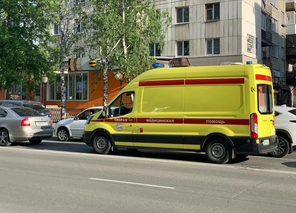 Фото: Алена Мищенко\"АиФ-Томск".