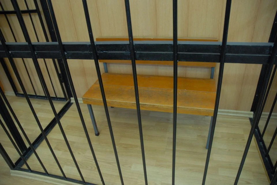 В Туле осудят трех иностранцев за избиение полицейских в ответ на замечание