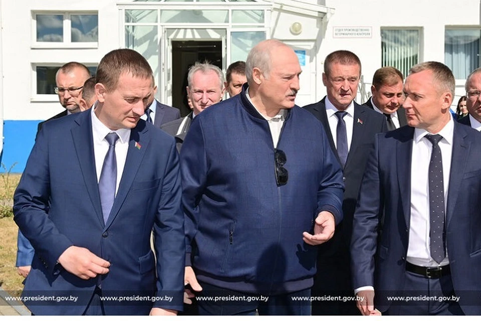 Лукашенко показали инновационный проект в Крупском районе, не имеющий аналогов в Беларуси. Фото: president.gov.by