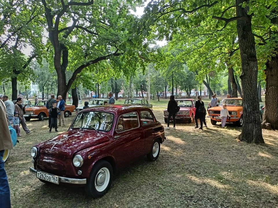В парк привезли ретро автомобили. Фото: городская администрация