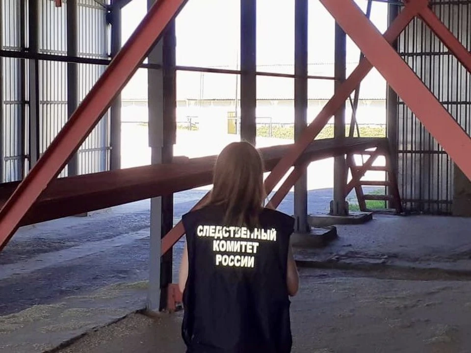 фото: СУ СКР по Саратовской области