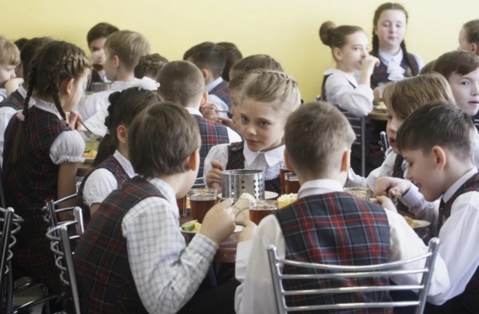 В Смоленской области проведут «горячую линию» по вопросам организации питания в школах.