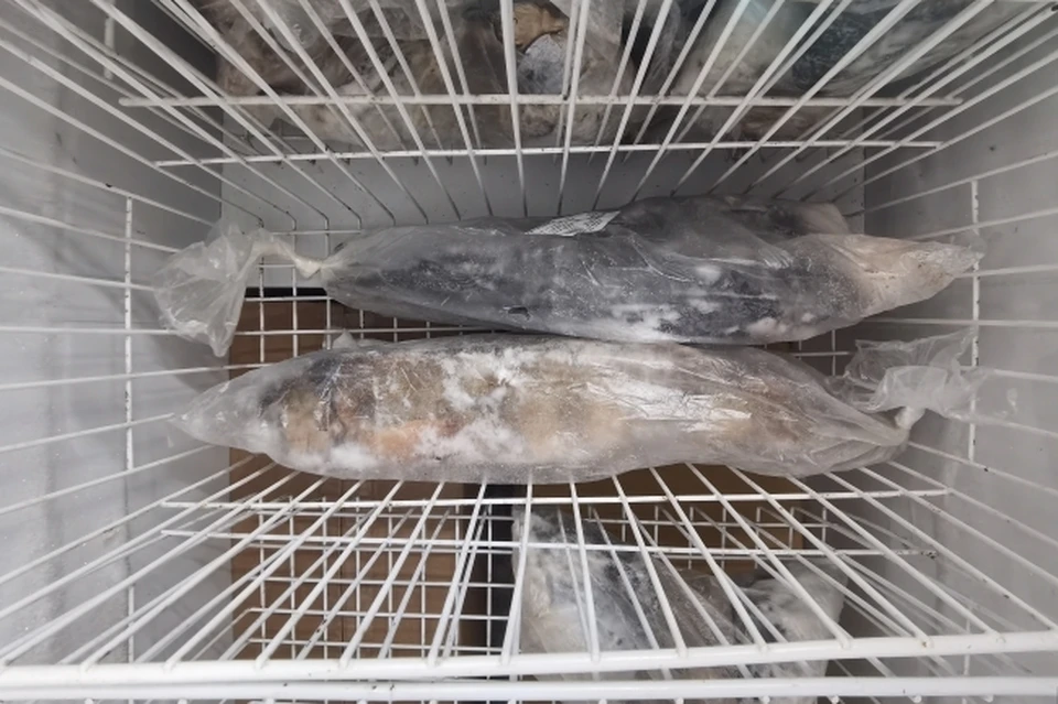 Продукцию должны были доставить в Павлодарскую область Казахстана.