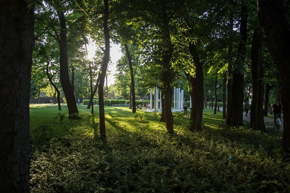 На Кубани создали 986 новых общественных территорий Фото: admkrai.krasnodar.ru