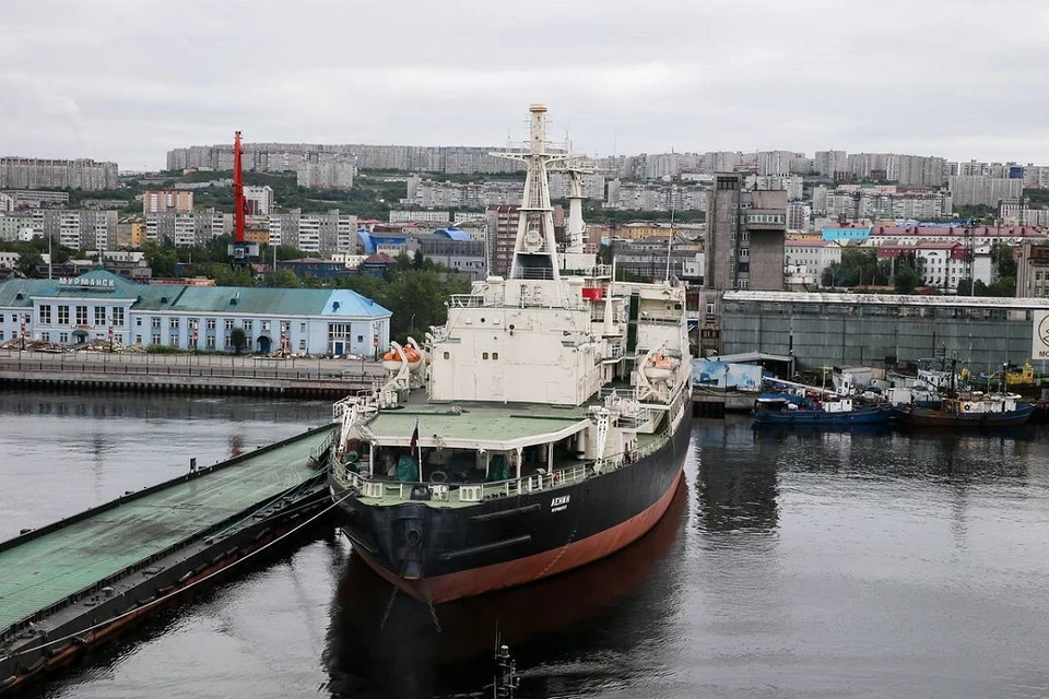 Беларусь переориентирует часть своего экспорта на порты в Мурманской области. Фото: Артем Геодакян | ТАСС