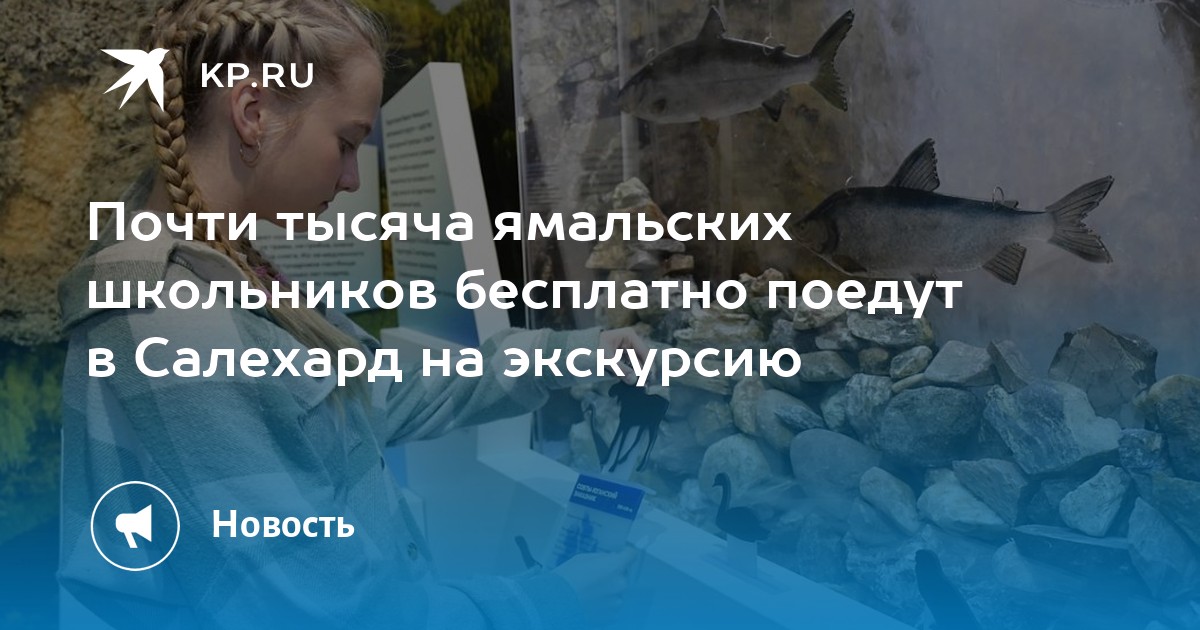 Покажи как изменится диаграмма если 25 школьников вместо мурома поедут на экскурсию в углич