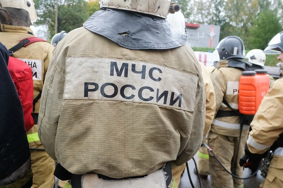 Не разжигайте огонь в лесу.