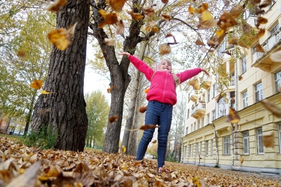 Неделя ожидается пасмурная, но дождей будет немного