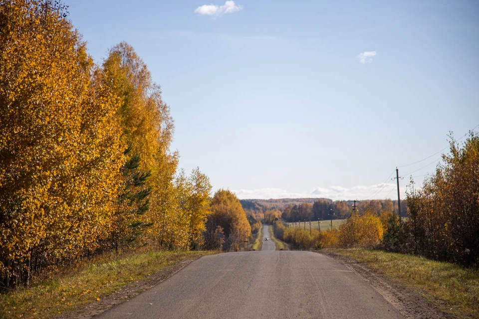 В Нижегородской области сняли запрет на посещение лесов.