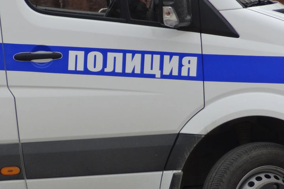 В Нижневартовске задержана рецидивистка, укравшая наушники и колонку