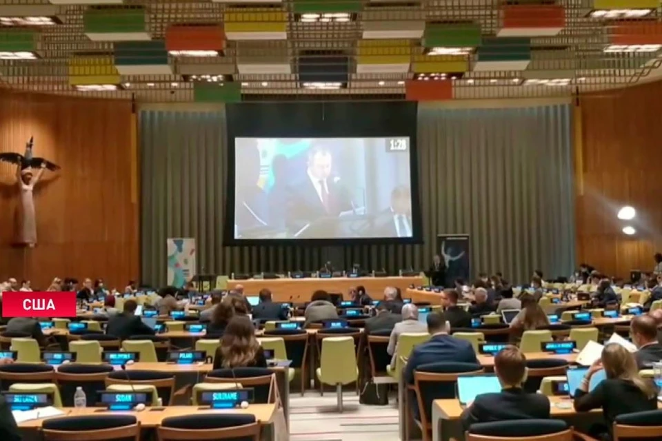 Владимир Макей выступил на заседании Совета Безопасности ООН. Фото: стоп-кадр СТВ.