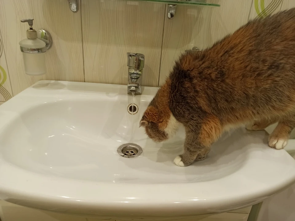 В Туле два дома останутся без холодной воды из-за ремонтно-восстановительных работ
