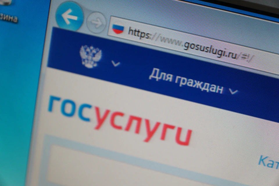 Минцифры откроет на Госуслугах форму для получения IT-специалистами отсрочки от призыва в рамках частичной мобилизации.