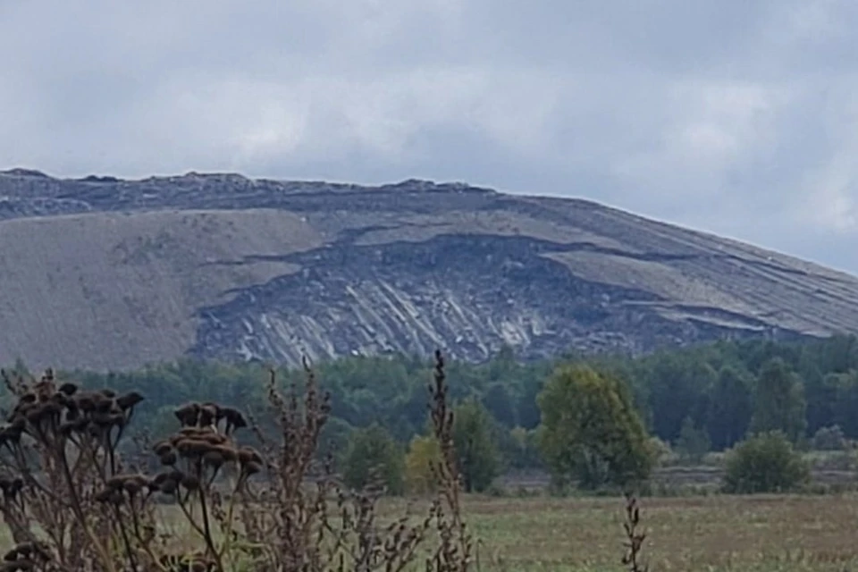 На мусорном полигоне под Гатчиной произошел оползень. Фото: vk.com/krasnoe_selo