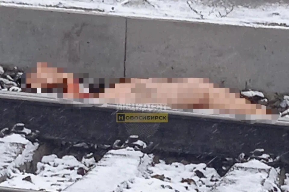 Женщина погибла под колесами поезда. Фото: Инцидент Новосибирск.