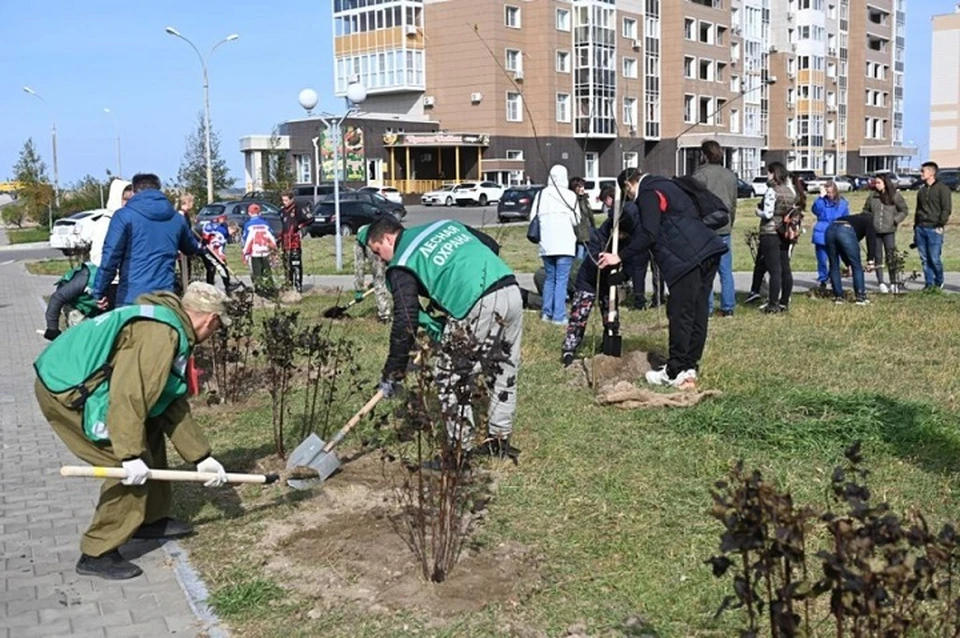 На хабаровской аллея. Аллея Арсеньева в Хабаровске. Аллея памяти в Хабаровске. Субботник в Хабаровске 2022. Зеленая Россия Хабаровск.