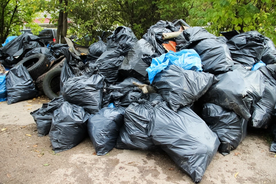 В Ульяновске свалку на улице Стасова намерены убрать во время субботника