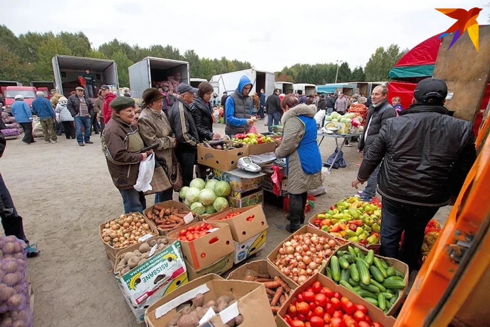 Где в Минске работают сельскохозяйственные ярмарки 1 и 2 октября - адреса.